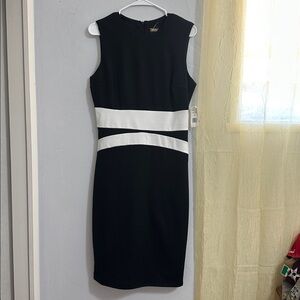 Chic Black and Ivory Dress